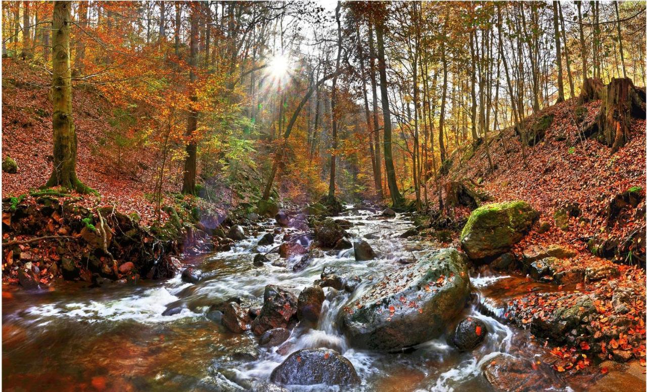 Ferienwohnung HERZALLERLIEBST Bad Lauterberg im Harz Exterior foto